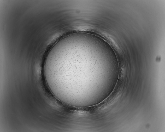 X0000102770539200808251054