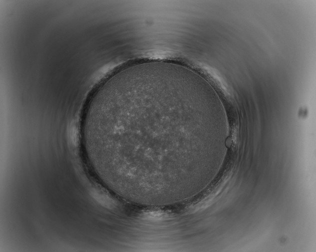 X0000102770540200808251054