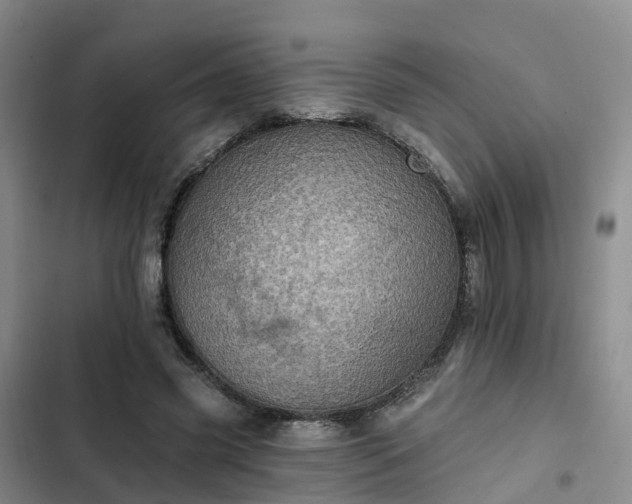 X0000102770541200808251054