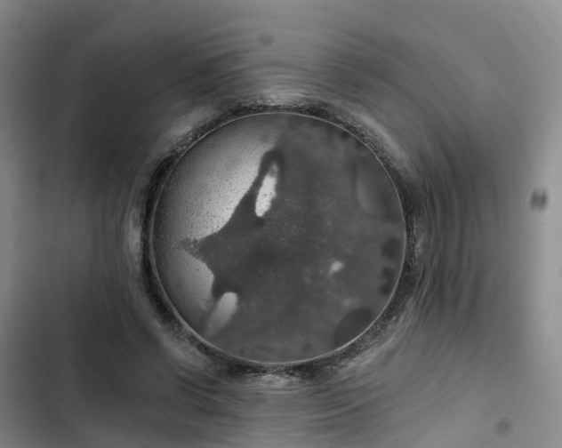 X0000102770542200808251054