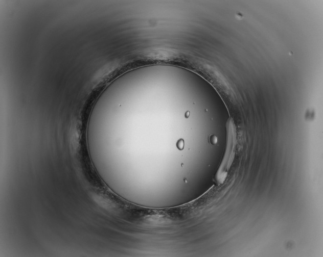 X0000102770544200808251054