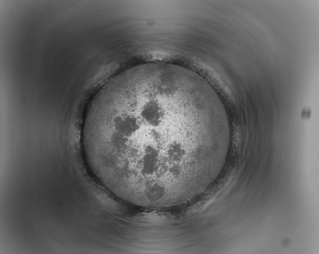 X0000102770545200808251054