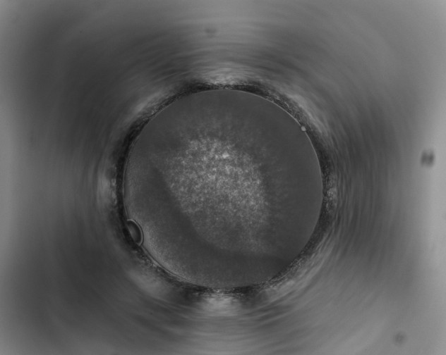 X0000102770547200808251054