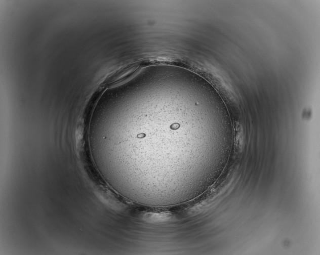 X0000102770548200808251054