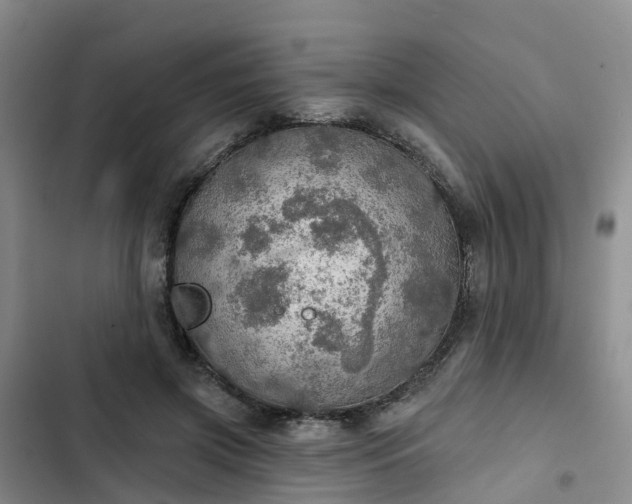 X0000102770549200808251054