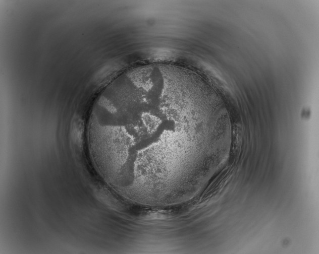 X0000102770550200808251054