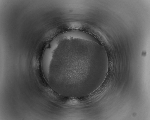 X0000102770551200808251054