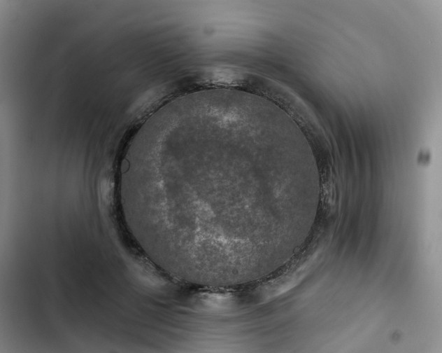 X0000102770552200808251054