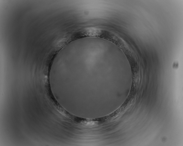 X0000102770553200808251054