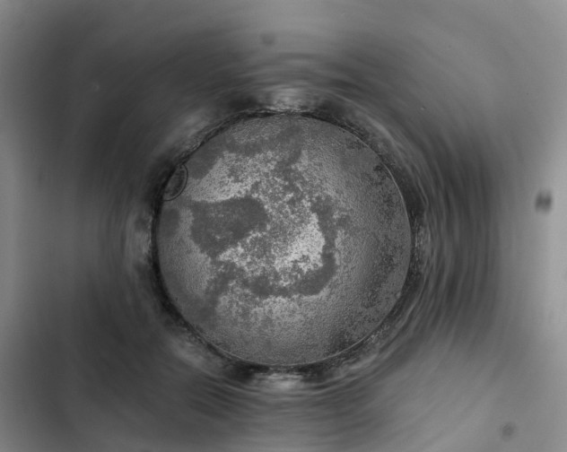 X0000102770554200808251054