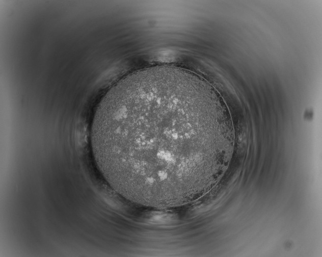 X0000102770555200808251054