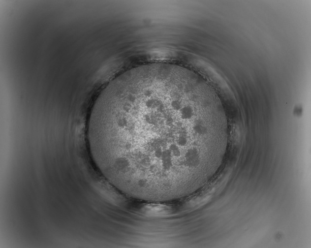 X0000102770557200808251054