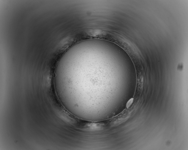 X0000102770558200808251054