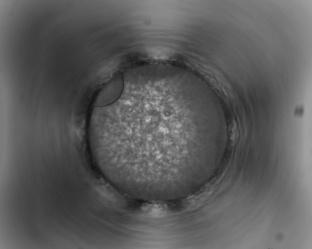 X0000102770559200808251054