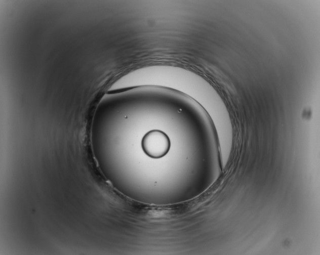 X0000102770560200808251054