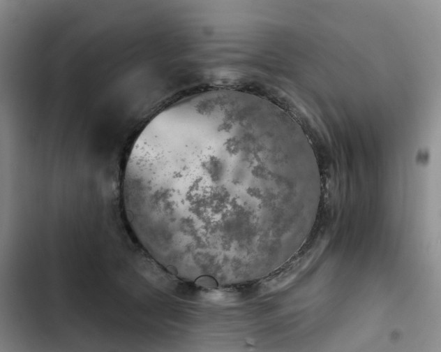 X0000102770561200808251054