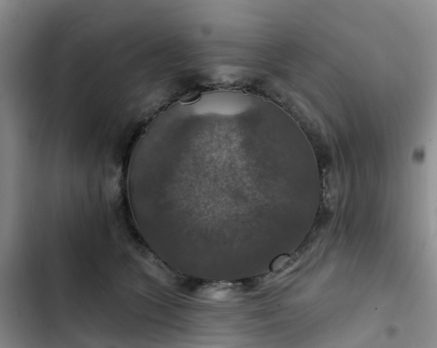 X0000102770563200808251054