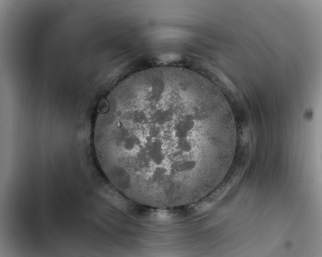 X0000102770565200808251054