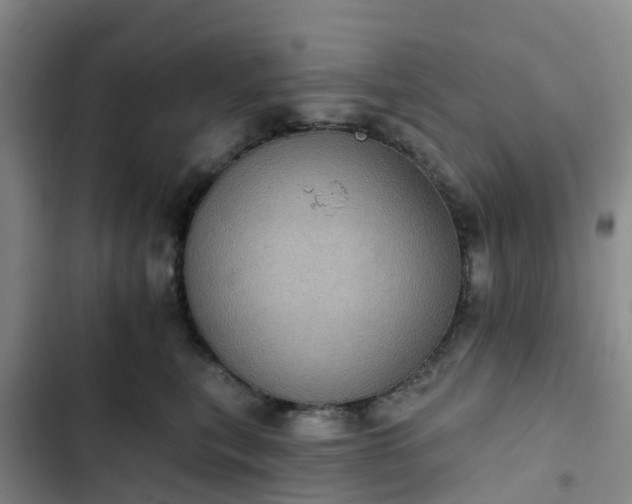 X0000102770567200808251054