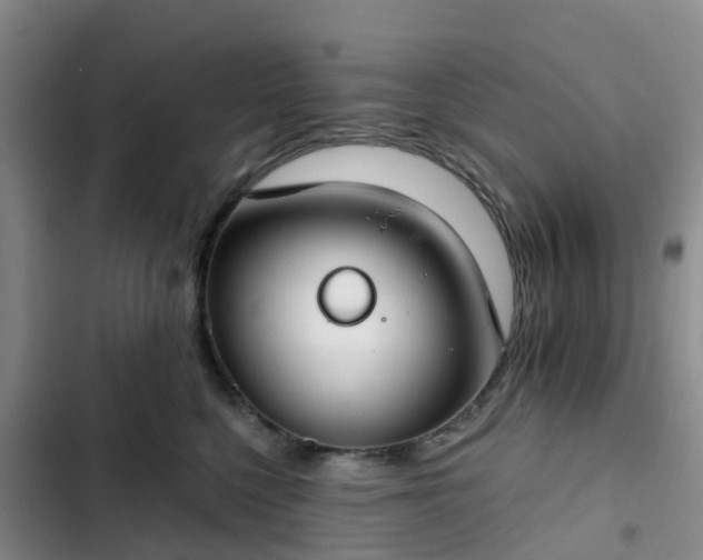 X0000102770568200808251054