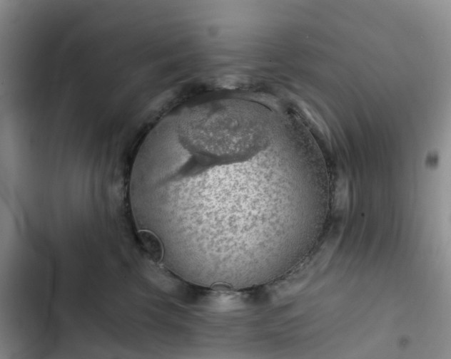 X0000102770569200808251055