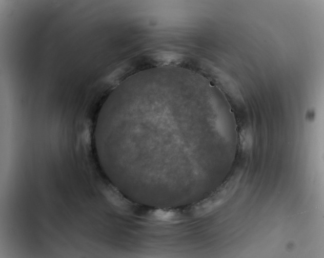 X0000102770570200808251055