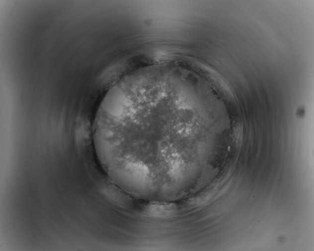 X0000102770571200808251055