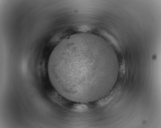 X0000102770572200808251055