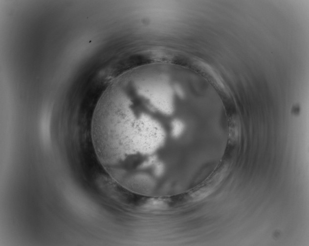 X0000102770573200808251055