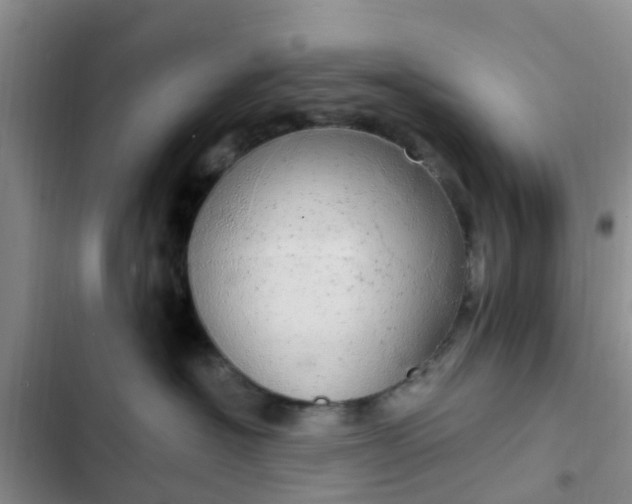 X0000102770574200808251055