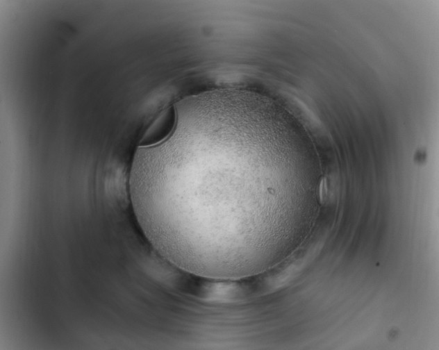 X0000102770575200808251055