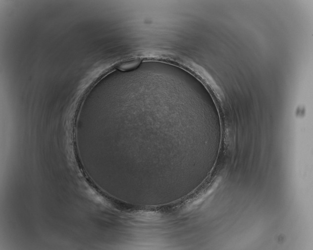 X0000102770577200808251054