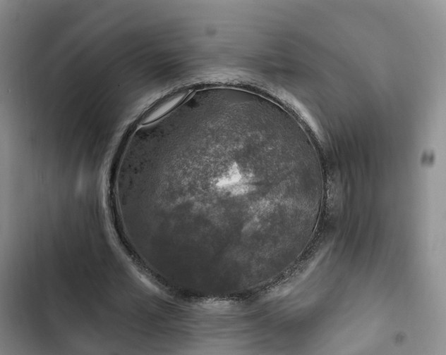 X0000102770581200808251054