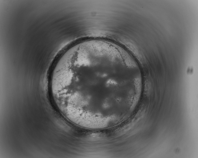 X0000102770584200808251054