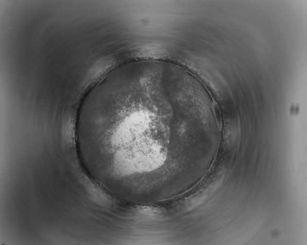 X0000102770585200808251054