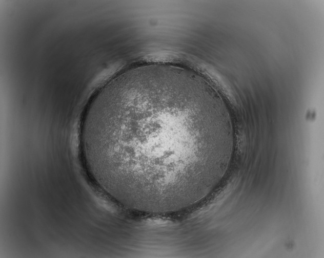 X0000102770586200808251054