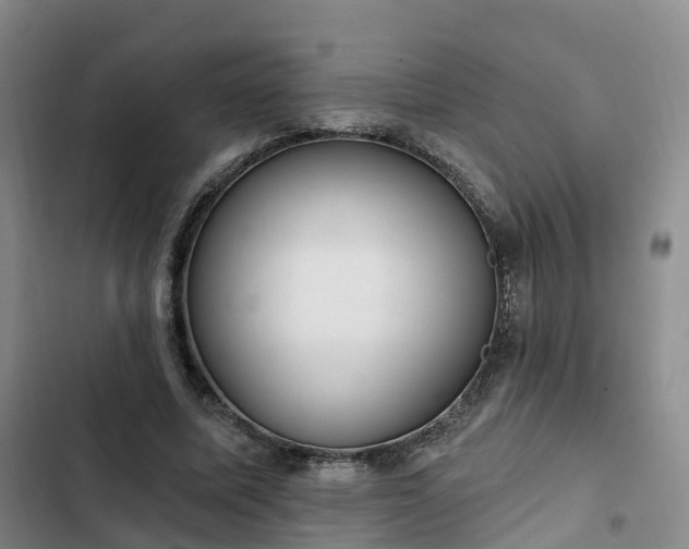 X0000102770587200808251054