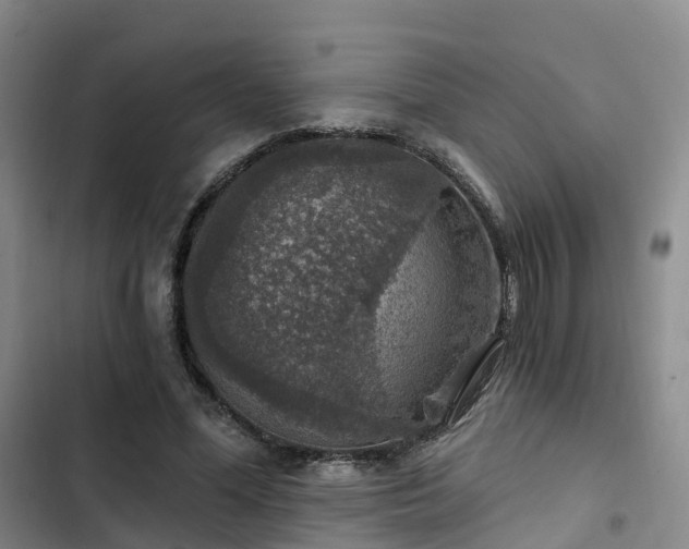 X0000102770588200808251054