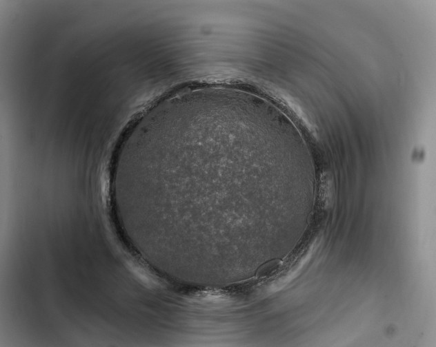 X0000102770589200808251054