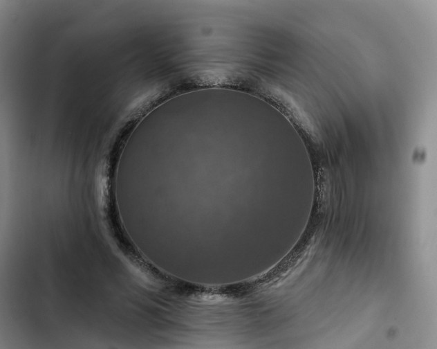 X0000102770590200808251054