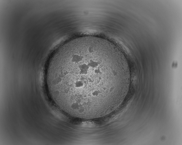 X0000102770591200808251054