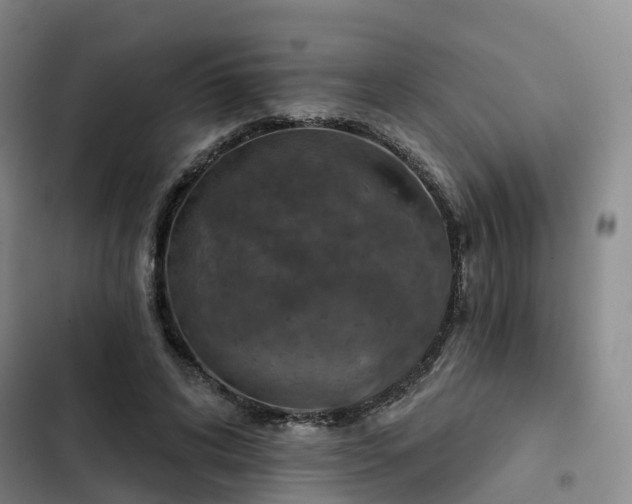 X0000102770592200808251054