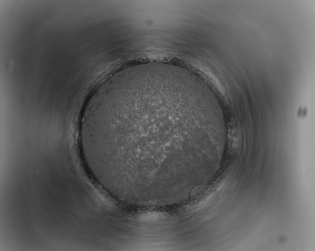 X0000102770593200808251054