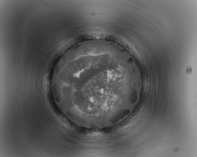 X0000102770594200808251054