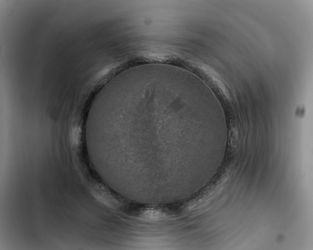 X0000102770596200808251054