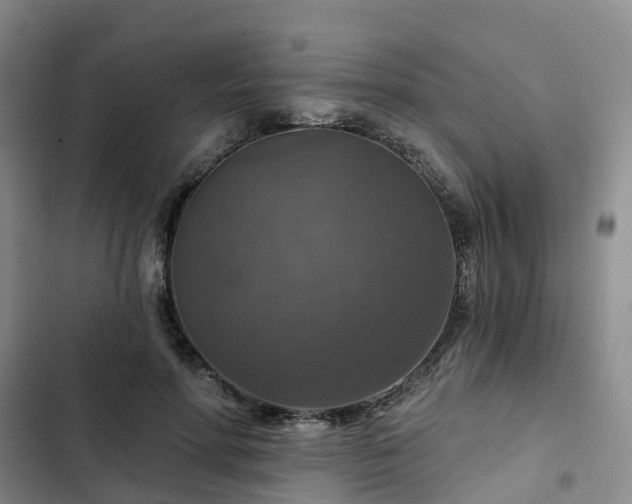 X0000102770598200808251054