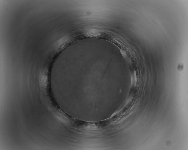 X0000102770600200808251054