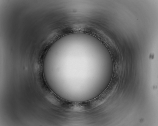 X0000102770601200808251054