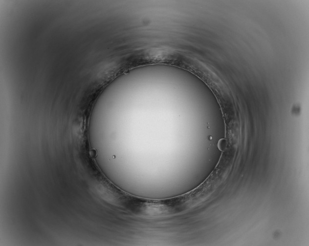 X0000102770605200808251054