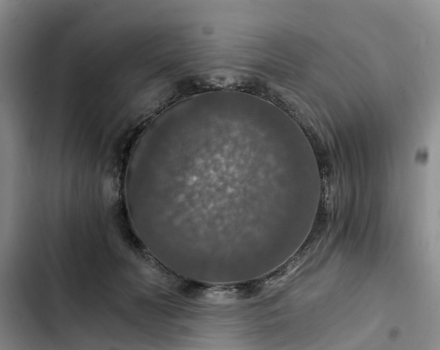 X0000102770606200808251054